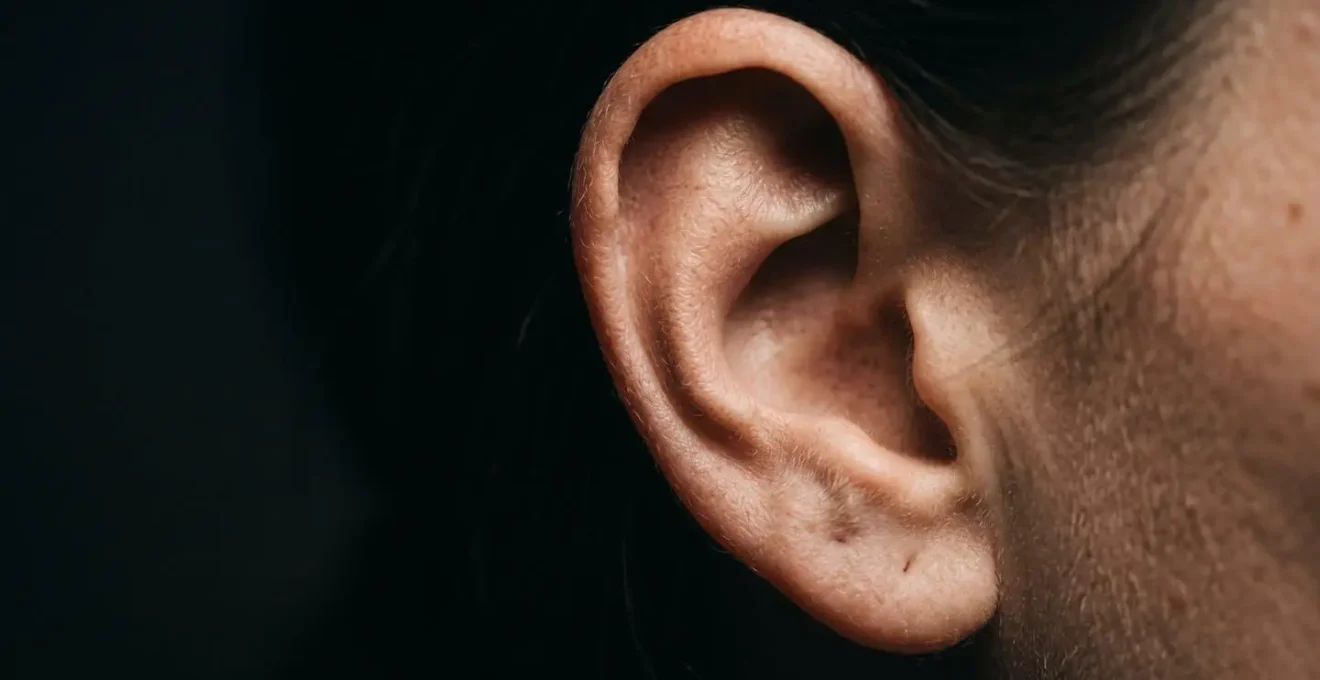 Représentation des effets du stress acoustique intense dans un environnement clos